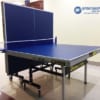 bàn bóng bàn DF 223 gấp gọn
