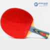 Mặt vợt bóng bàn DHS 3002