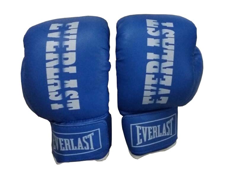 Boxing Everlast L2 xanh