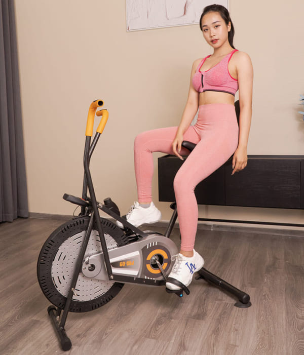 Xe đạp phục thể dục Pro Fitness Pro-09